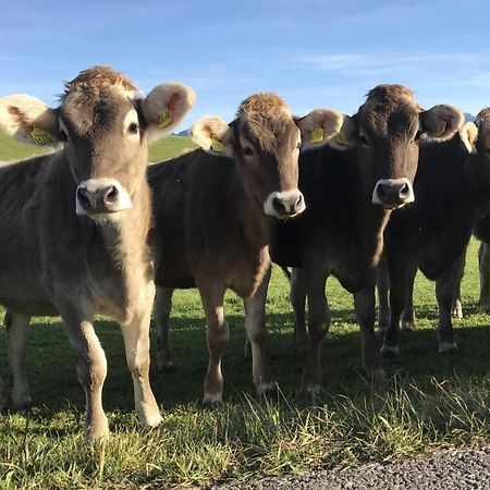 Ferienwohnung Am Kurpark Oy-Mittelberg Dış mekan fotoğraf