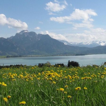 Ferienwohnung Am Kurpark Oy-Mittelberg Dış mekan fotoğraf